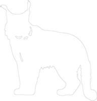 lynx  outline silhouette vector