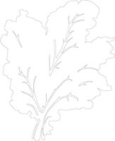 collard greens  outline silhouette vector