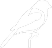 goldfinch  outline silhouette vector