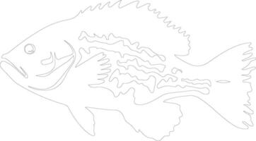 grouper  outline silhouette vector