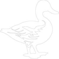 mallard duck  outline silhouette vector