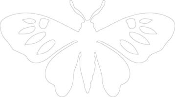 jumping bean moth  outline silhouette vector