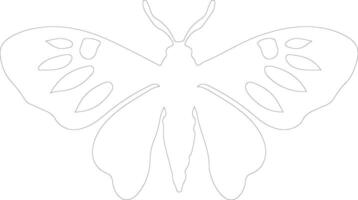 jumping bean moth  outline silhouette vector