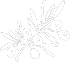 olive  outline silhouette vector