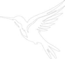 ruby-throated hummingbird    outline silhouette vector