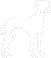 Whippet outline silhouette vector