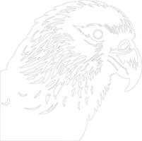 kakapo  outline silhouette vector