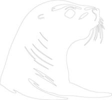 León marino contorno silueta vector