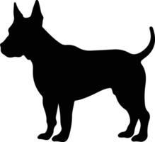 Miniature Bull Terrier   black silhouette vector