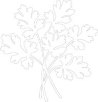 parsley  outline silhouette vector