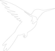 ruby-throated hummingbird    outline silhouette vector