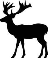 Reindeer  black silhouette vector
