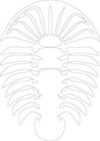 Trilobite   outline silhouette vector