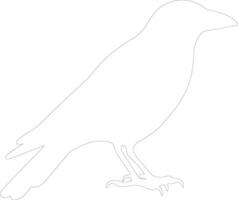 crow outline silhouette vector