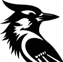 blue jay  silhouette portrait vector