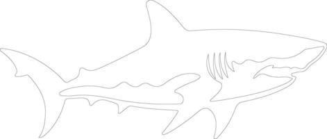 tiger shark    outline silhouette vector