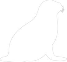 harp seal  outline silhouette vector