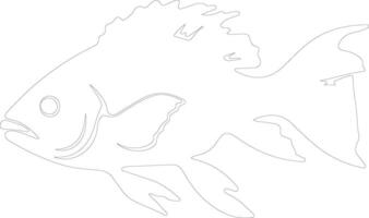 coelacanth outline silhouette vector