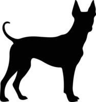 Xoloitzcuintli Mexican Hairless Dog    black silhouette vector