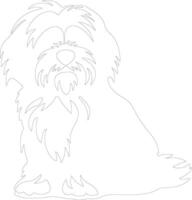 Havanese  outline silhouette vector