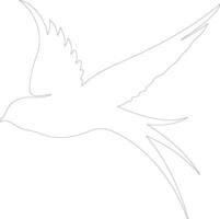 swift    outline silhouette vector