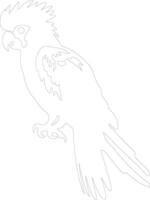 cockatoo outline silhouette vector