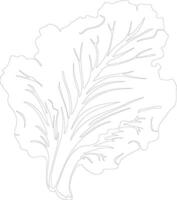 Chinese cabbage  outline silhouette vector