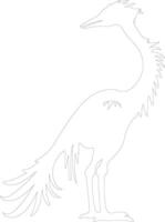 Troodon   outline silhouette vector