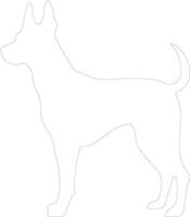 German Pinscher  outline silhouette vector