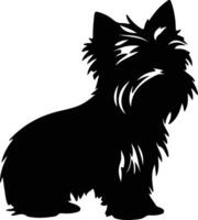 Silky Terrier    black silhouette vector