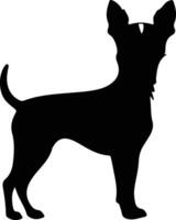 Miniature Pinscher   black silhouette vector