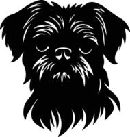 Brussels Griffon  silhouette portrait vector