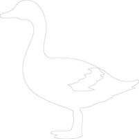 snow goose   outline silhouette vector