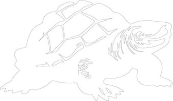 snapping turtle outline silhouette vector