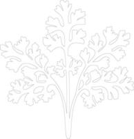 parsley  outline silhouette vector