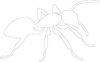 ant  outline silhouette vector