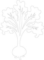 kohlrabi  outline silhouette vector