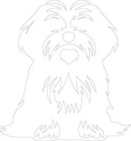 Havanese  outline silhouette vector