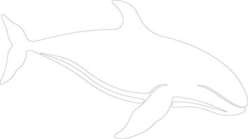 northern right whale  outline silhouette vector