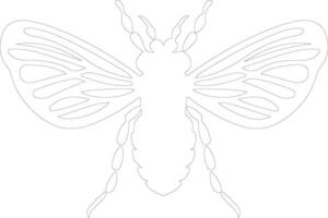 cicada outline silhouette vector