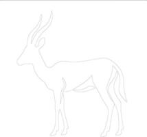 gazelle   outline silhouette vector