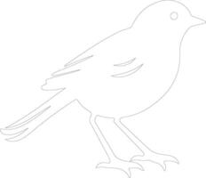 robin   outline silhouette vector