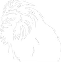 tamarin   outline silhouette vector