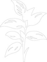 basil  outline silhouette vector