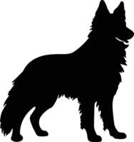 Belgian Sheepdog   black silhouette vector