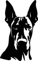 Doberman Pinscher  silhouette portrait vector