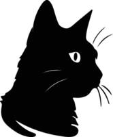 American Shorthair Cat  silhouette portrait vector