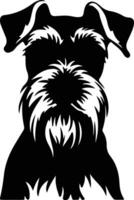 Standard Schnauzer    black silhouette vector