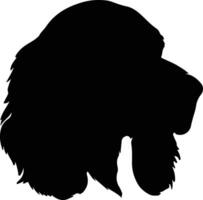 Boykin Spaniel  silhouette portrait vector