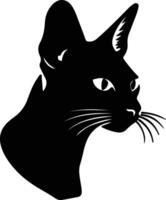 Abyssinian Cat  silhouette portrait vector